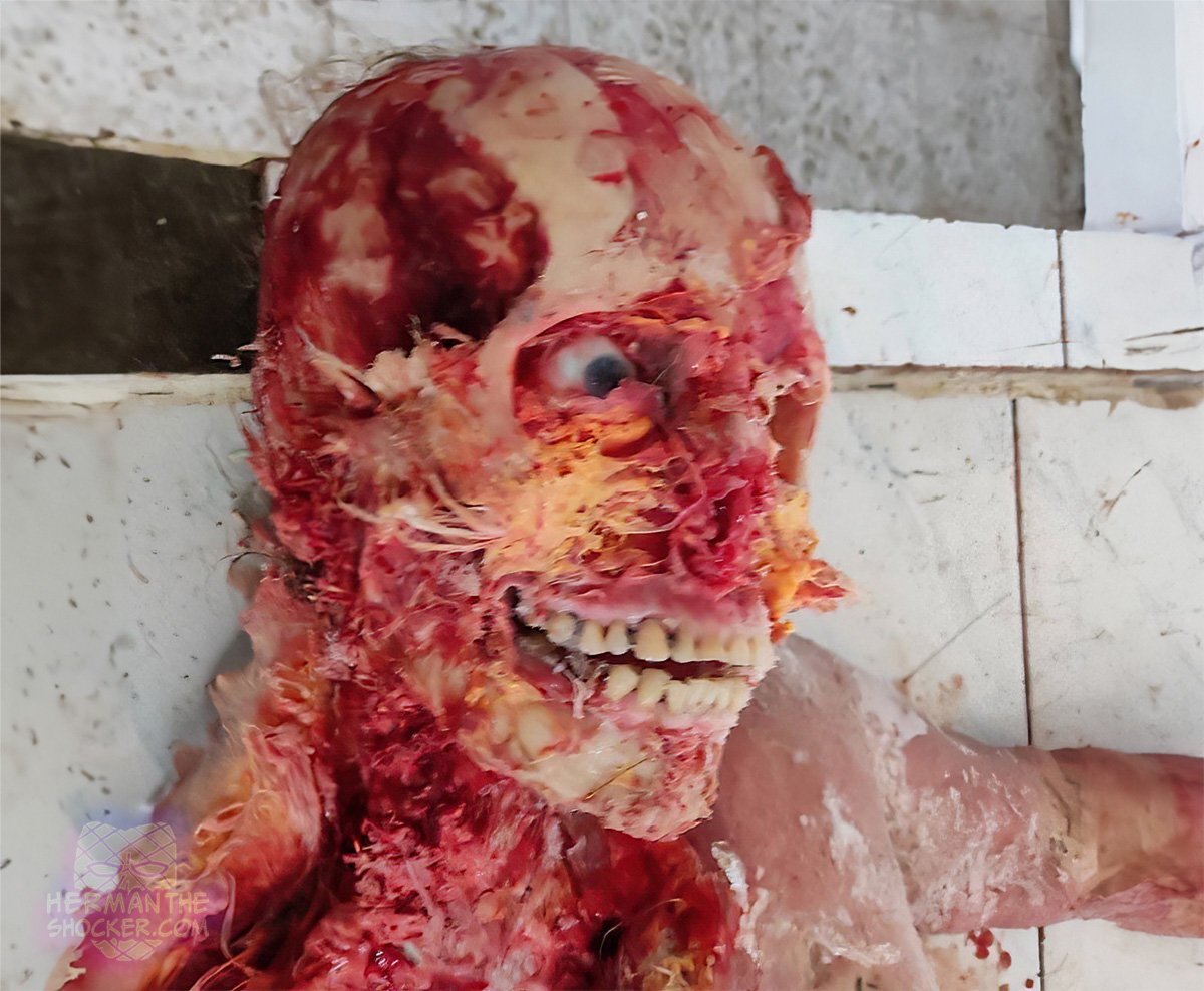 Ukraine Russia War Animal Interference