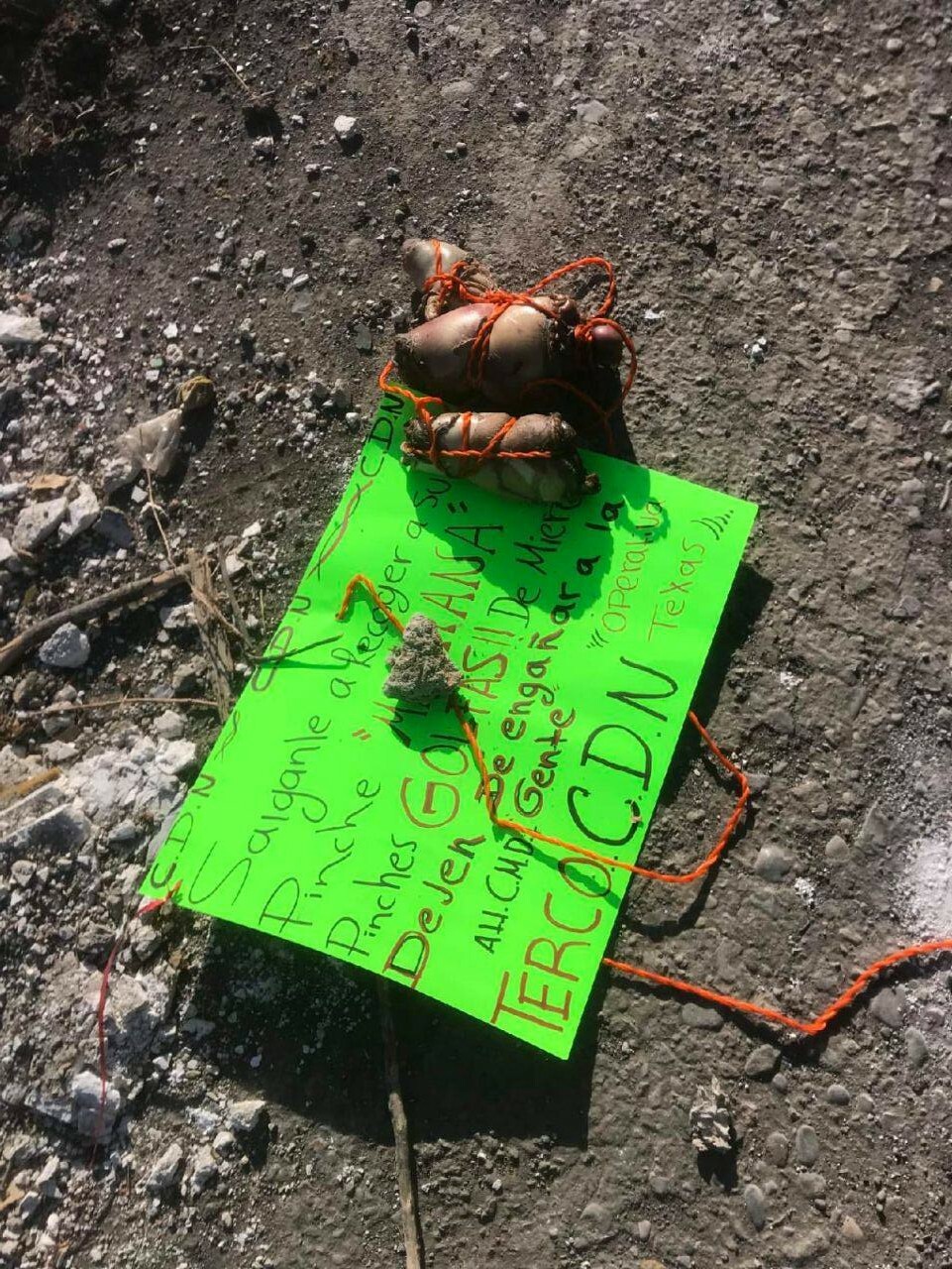 Body of woman dismembered by cartel members in Mexico (Photos)