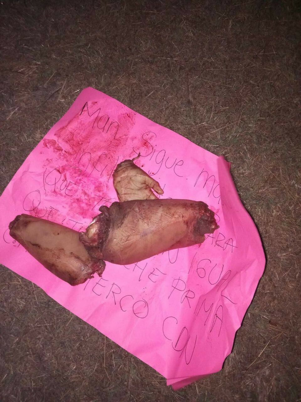 Body of woman dismembered by cartel members in Mexico (Photos)