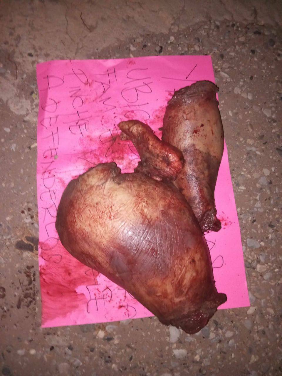 Body of woman dismembered by cartel members in Mexico (Photos)