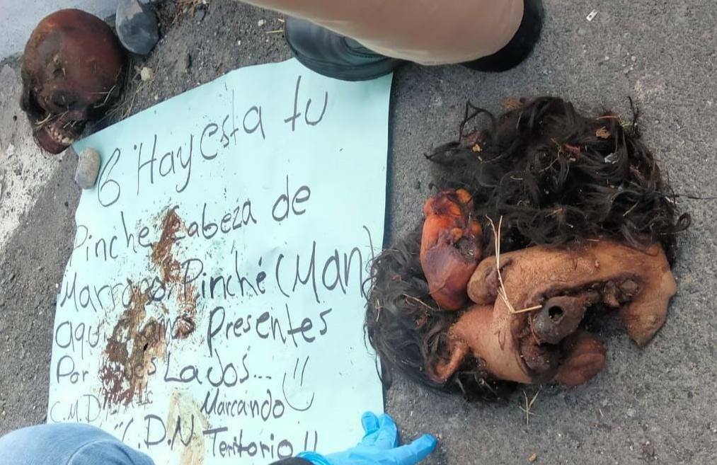 Body of woman dismembered by cartel members in Mexico (Photos)