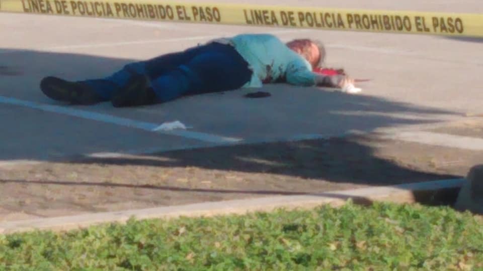 Female lawyer shot dead in carjacking