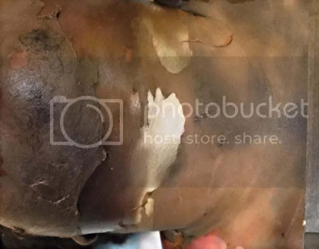 Was it murder or an accident?