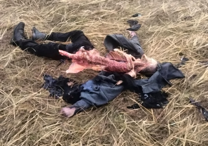 Missing man mysteriously found dead in Poland