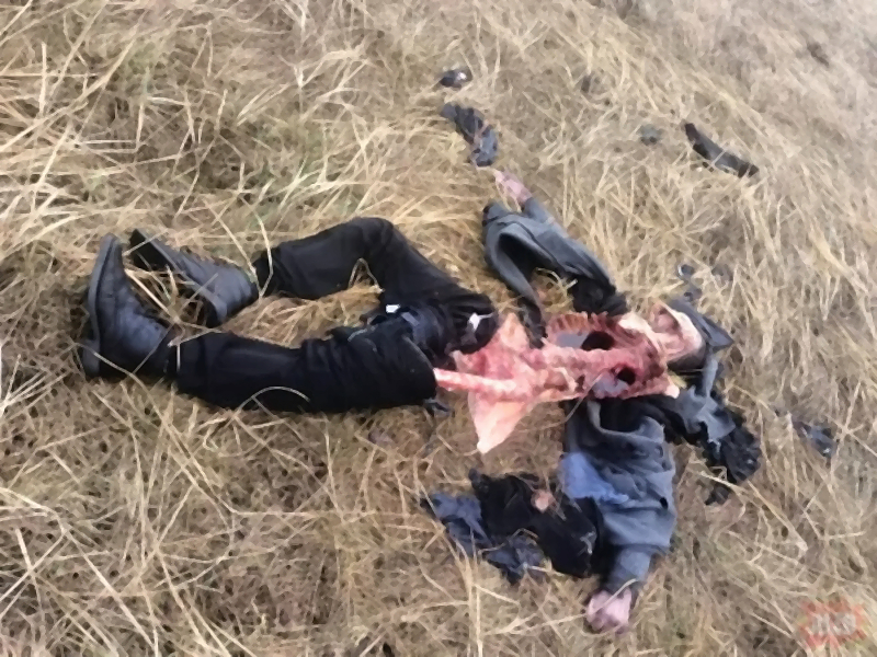 Missing man mysteriously found dead in Poland