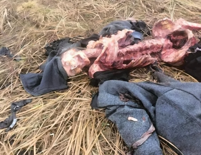 Missing man mysteriously found dead in Poland