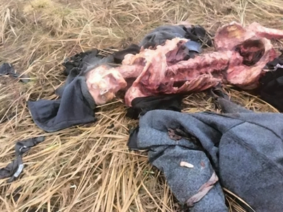 Missing man mysteriously found dead in Poland