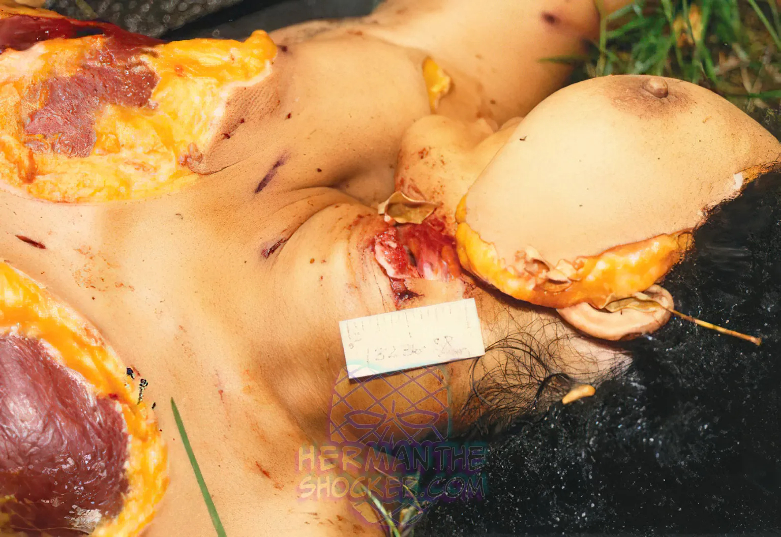 Disorganized Offender Acts Out With Victim’s Body