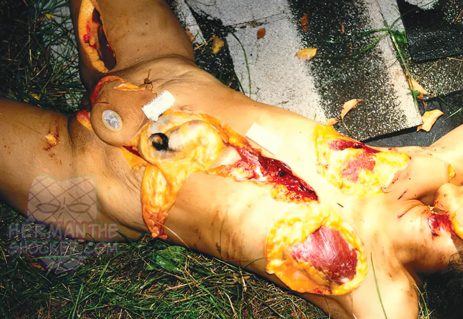 Disorganized Offender Acts Out With Victim’s Body