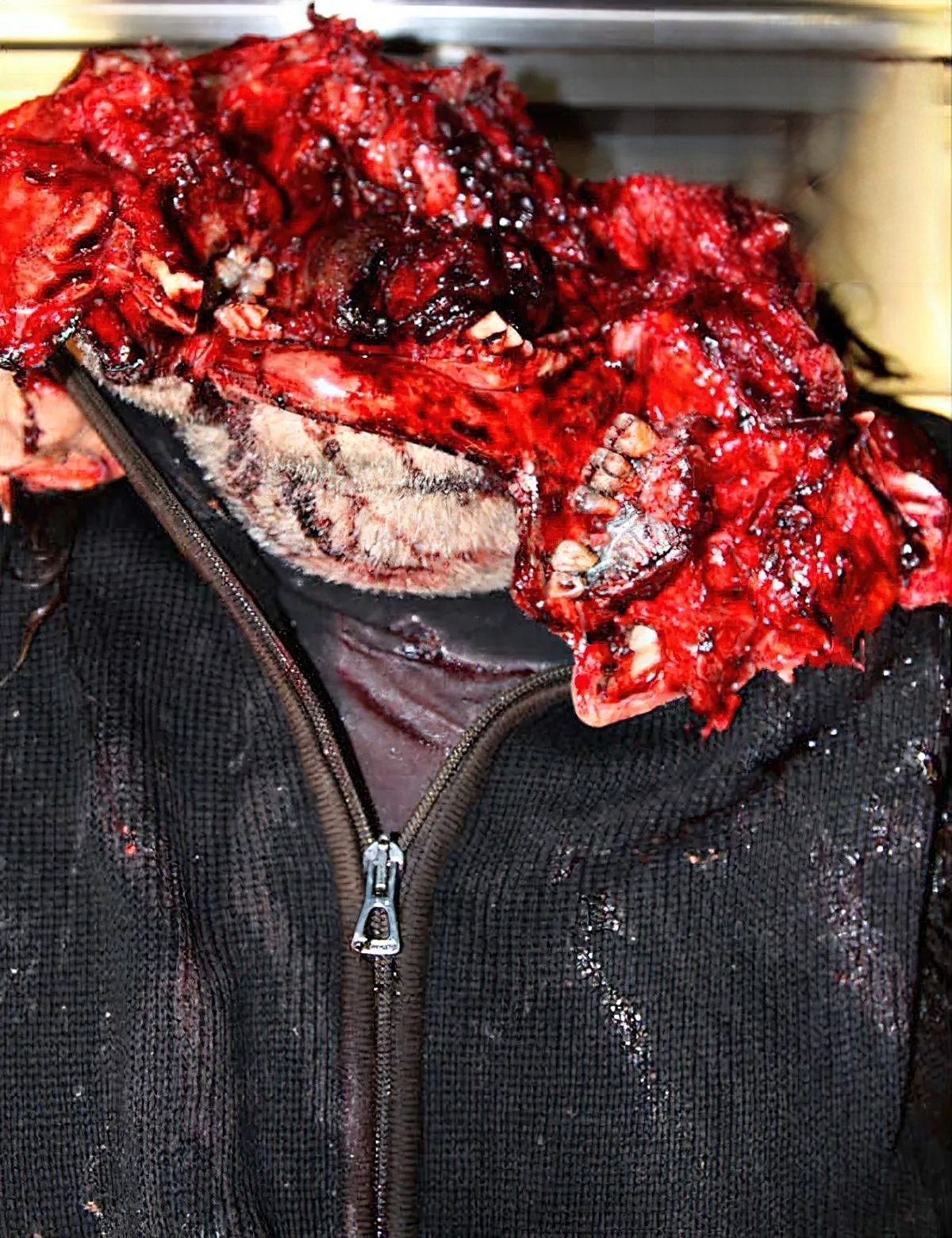 Shotgun Blast To The Head