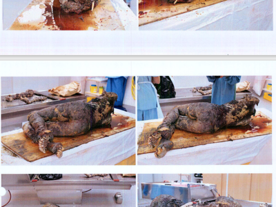 Autopsy images from Christian Larsson case
