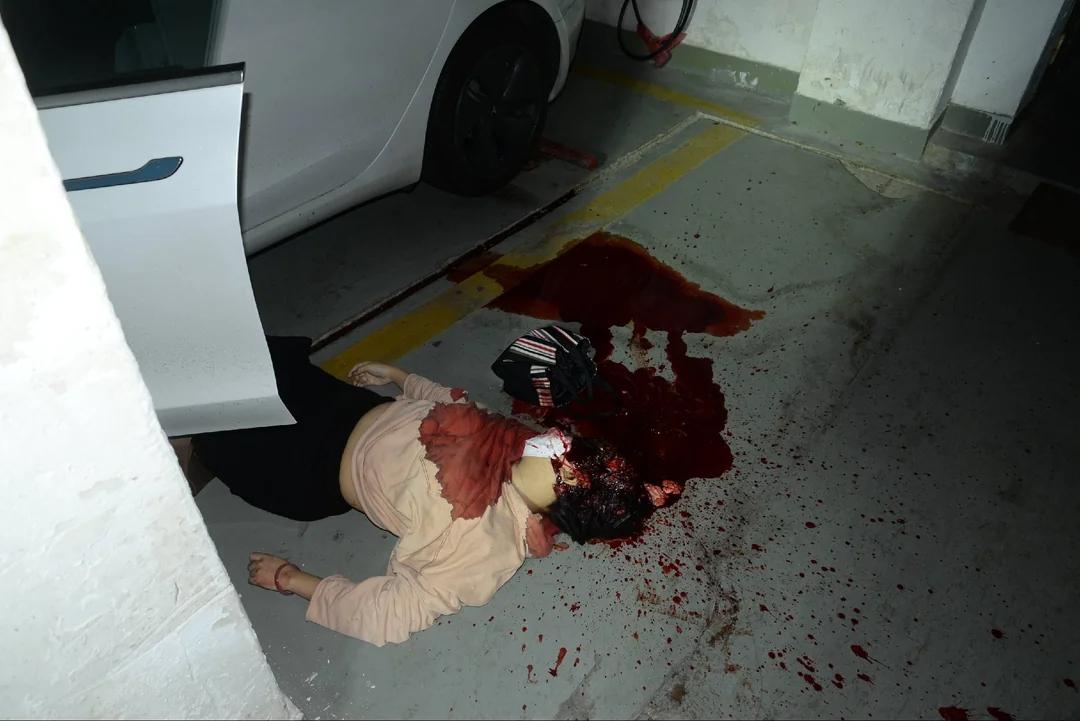 Chinese woman murdered (Examination footage)