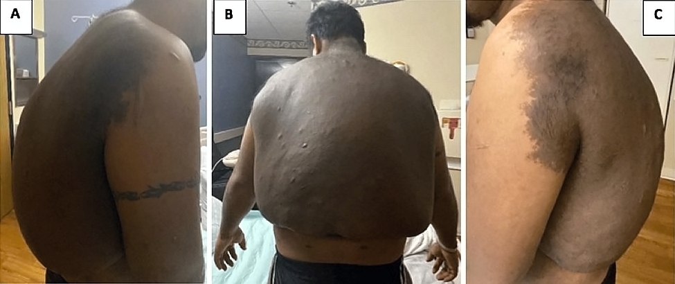 Death, Illness, Injury, Healing #1