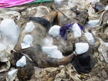 Aftermath of the Indian Ocean Earthquake and Tsunami