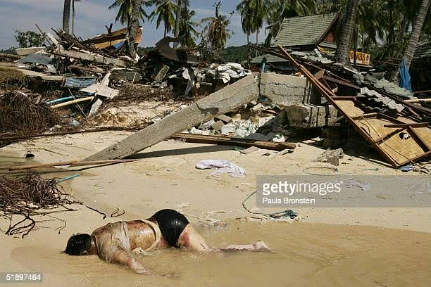 Aftermath of the Indian Ocean Earthquake and Tsunami
