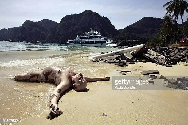 Aftermath of the Indian Ocean Earthquake and Tsunami