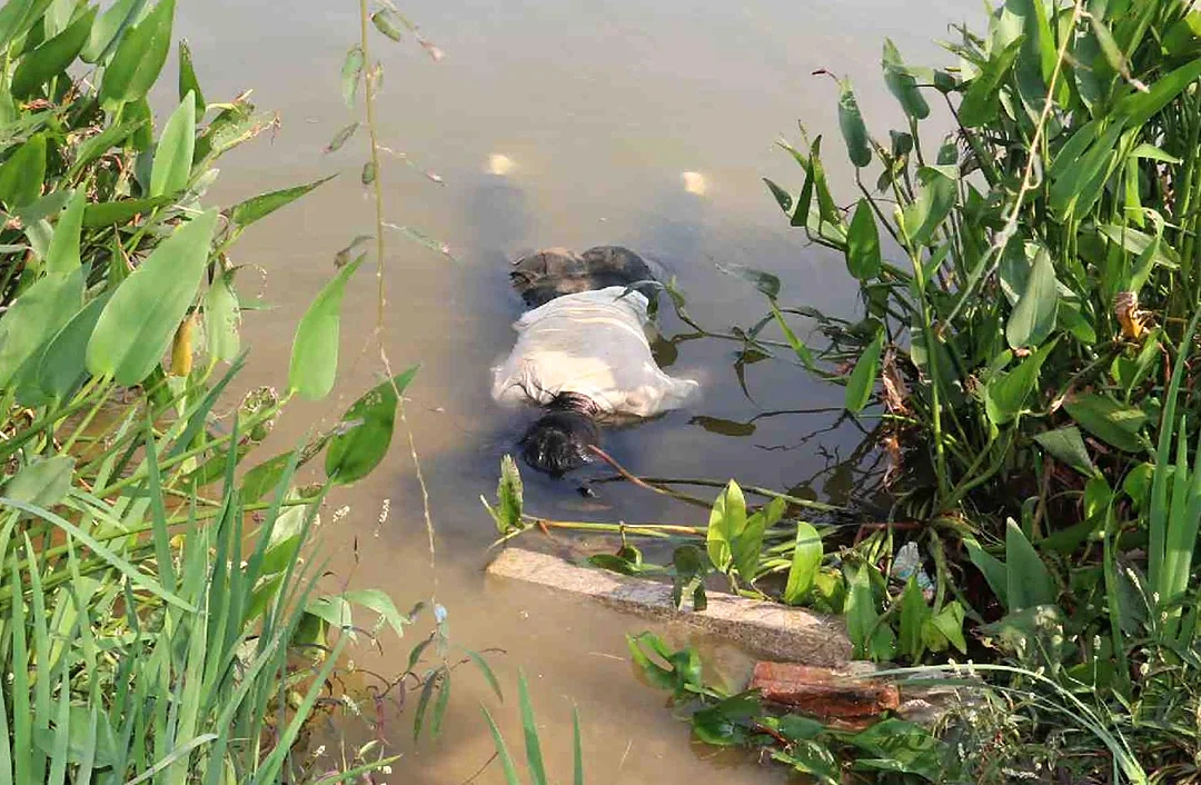 21 Year Old Murder by Drowning Woman Forensic Exam