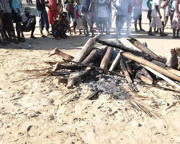 2 Europeans burned alive