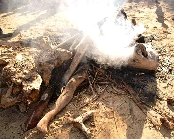 2 Europeans burned alive