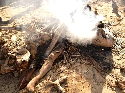 2 Europeans burned alive