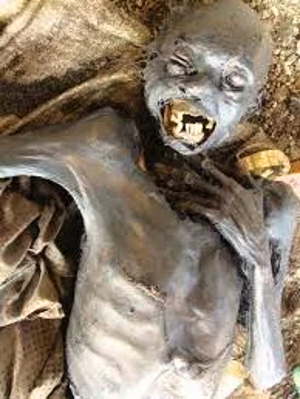 A mix of decaying corpses