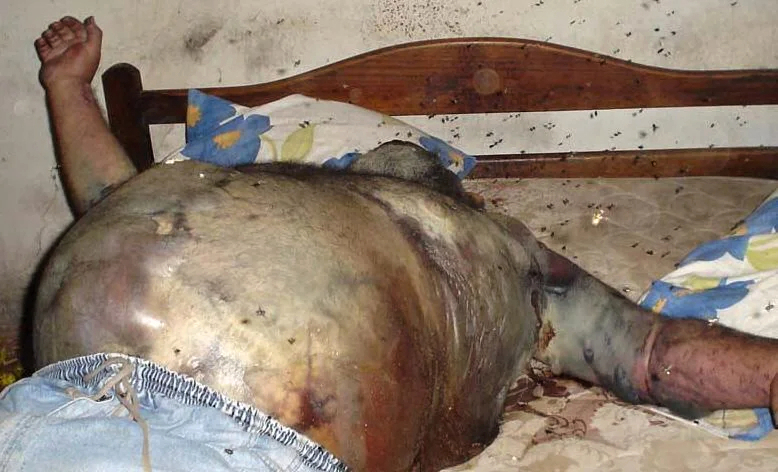 A mix of decaying corpses