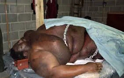 A mix of decaying corpses