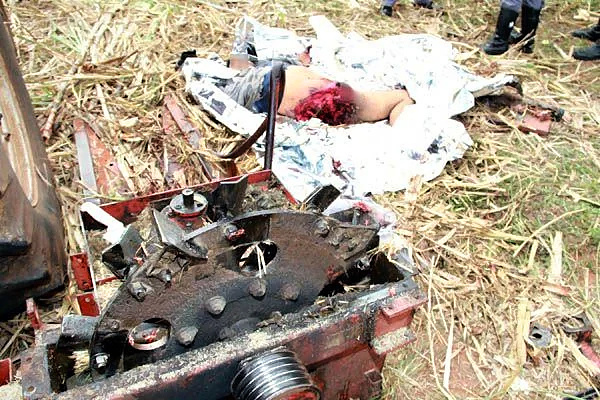 Sugarcane shredder accident