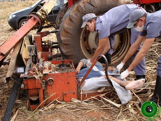Sugarcane shredder accident