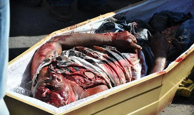 Man unfortunately hit by car and then by a truck