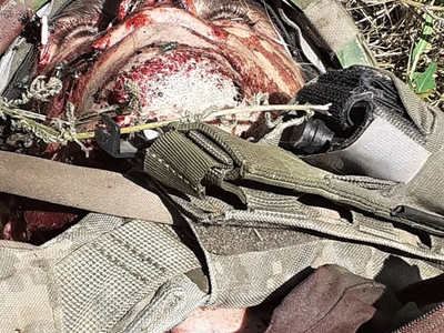 Aftermath of a failed offensive