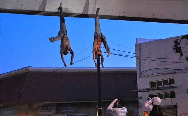 Some Photos about Mexican drug traffickers