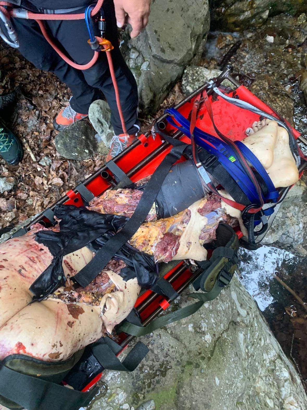 Woman killed by bear in Romania