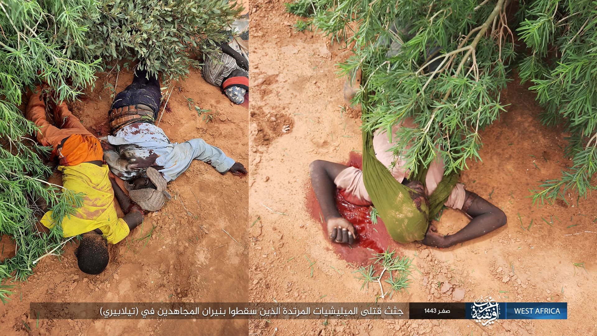 Photo report Dead apostate militias killed by Islamic State in Africa