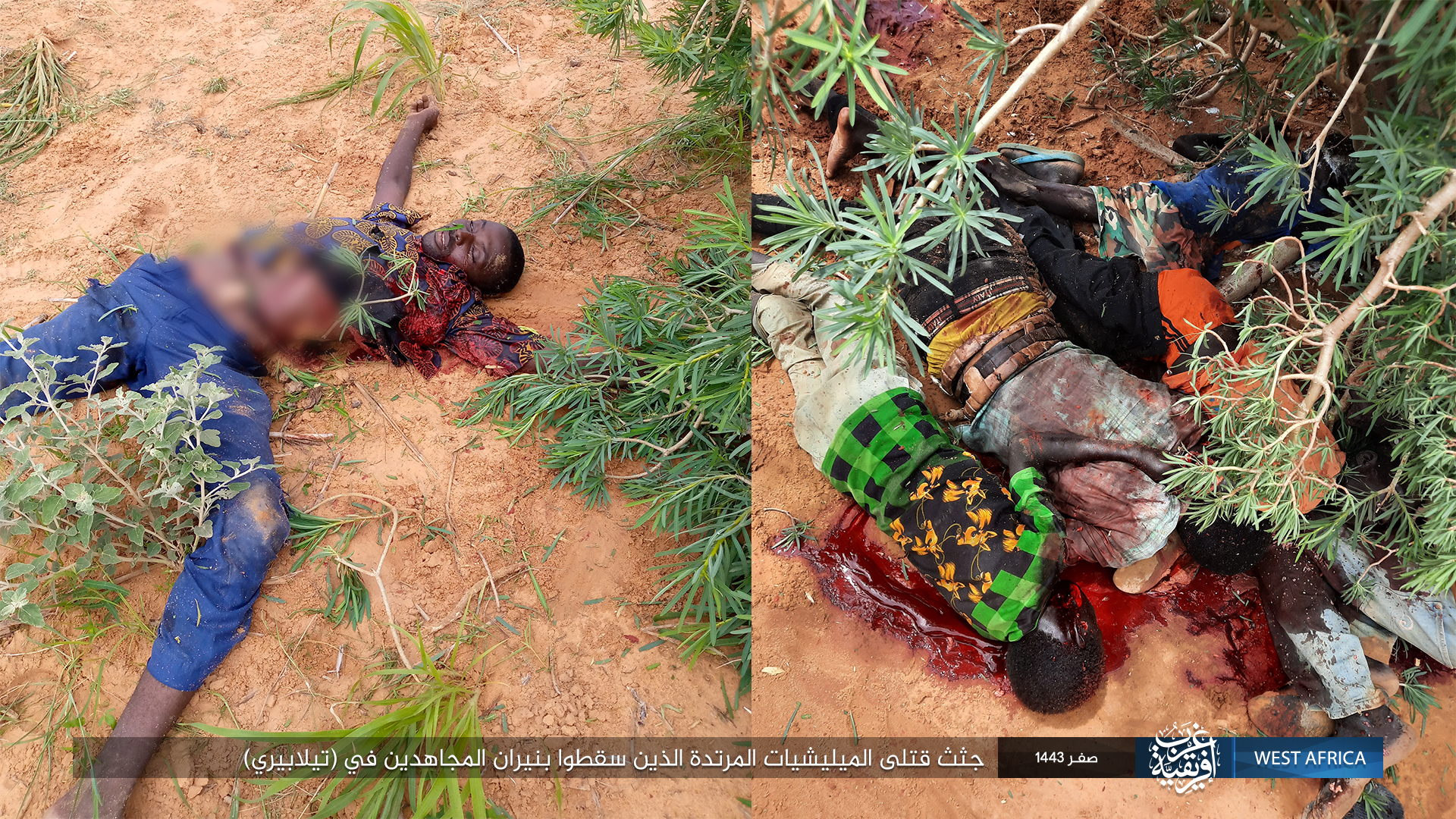 Photo report Dead apostate militias killed by Islamic State in Africa