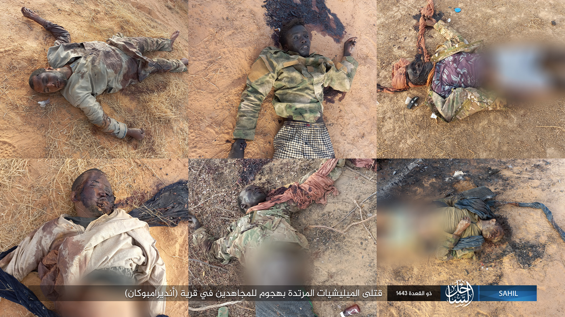 Islamic State in the Greater Sahara Kill Apostate Militias in Mali