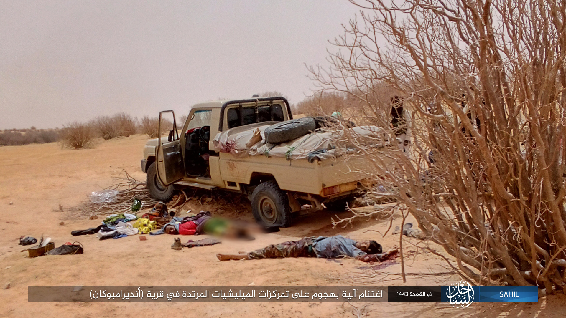 Islamic State in the Greater Sahara Kill Apostate Militias in Mali