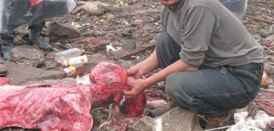 Tibetan Funeral Service Prepares Lunch for Vultures