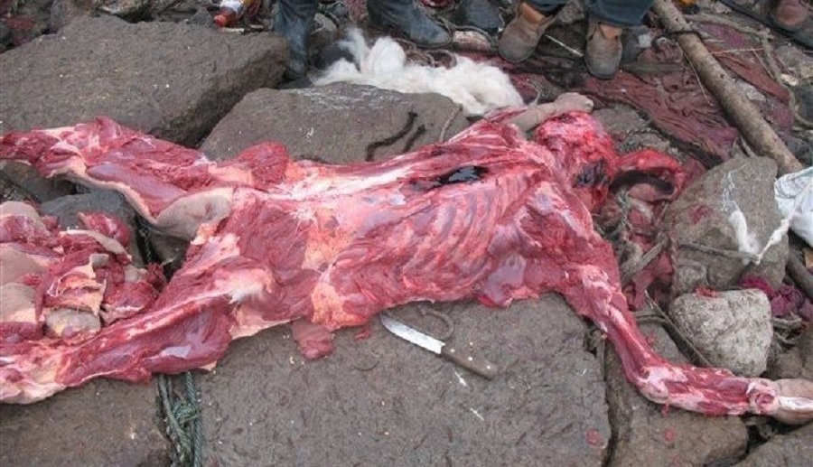 Tibetan Funeral Service Prepares Lunch for Vultures