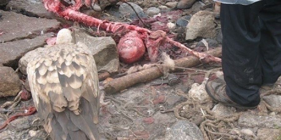 Tibetan Funeral Service Prepares Lunch for Vultures