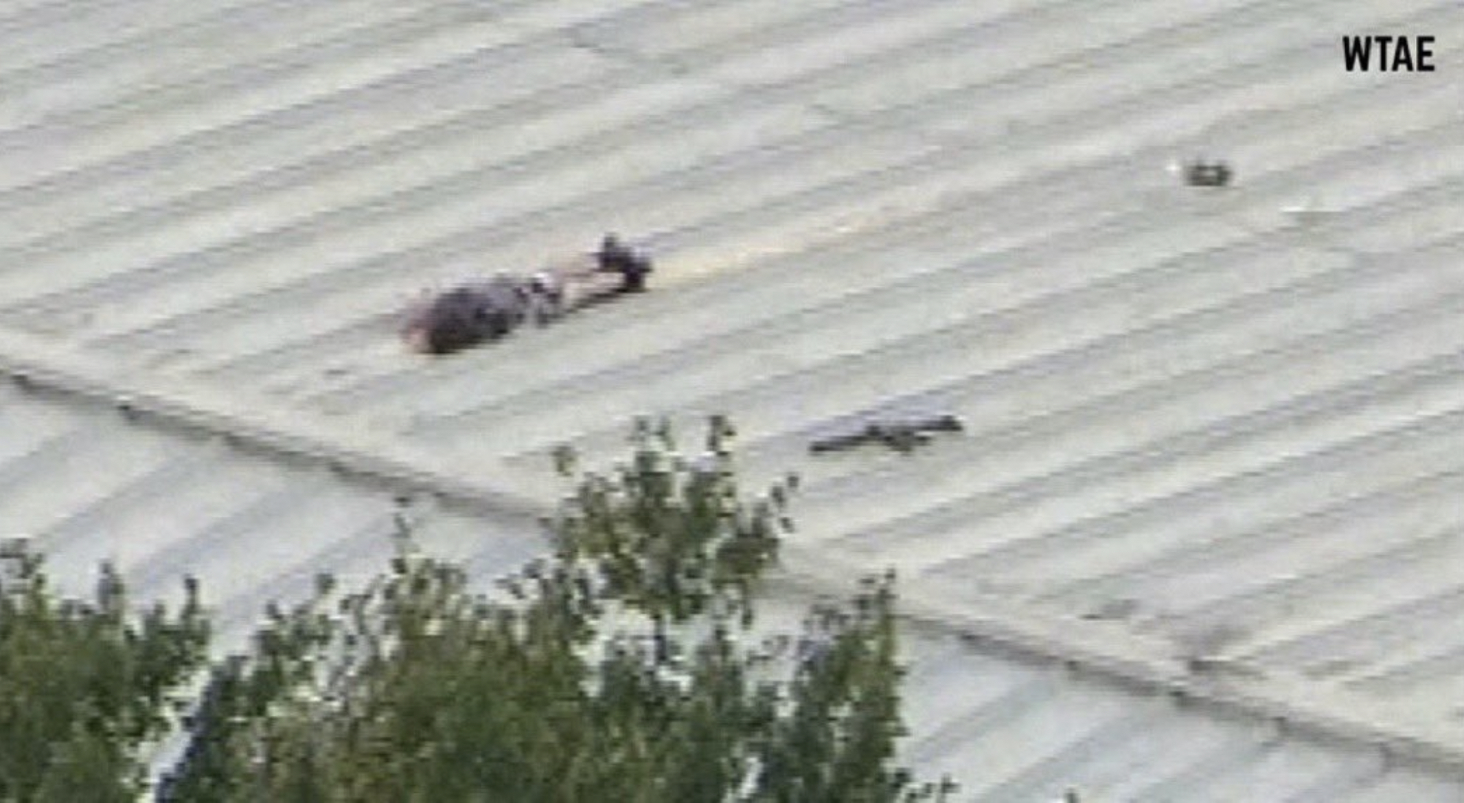 Trump Shooters Corpse