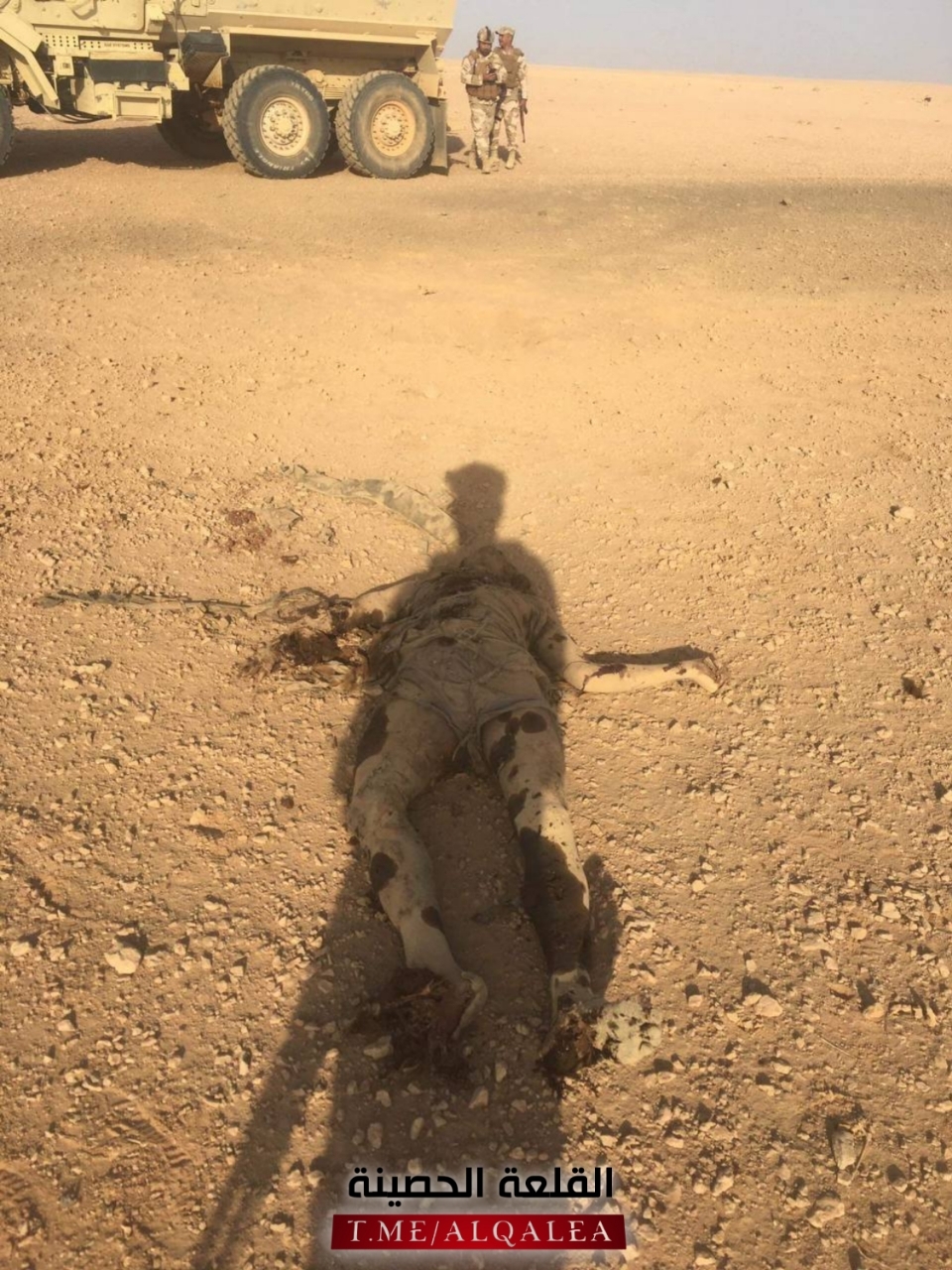 4 pigs isis killed in western Iraq