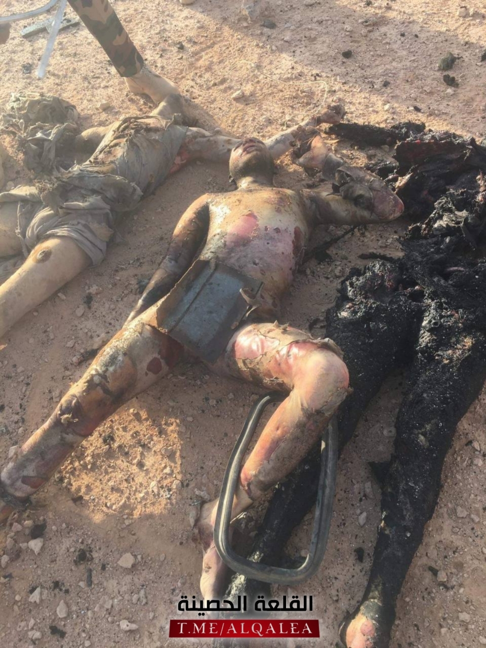 4 pigs isis killed in western Iraq