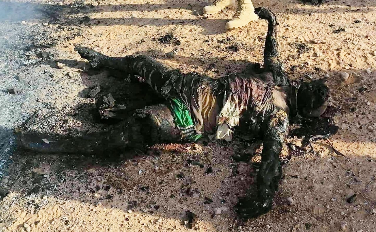 4 pigs isis killed in western Iraq