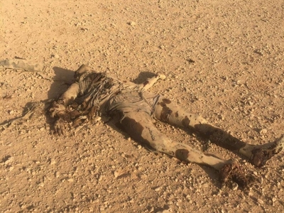 4 pigs isis killed in western Iraq