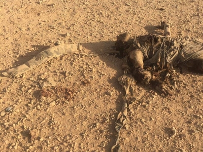 4 pigs isis killed in western Iraq