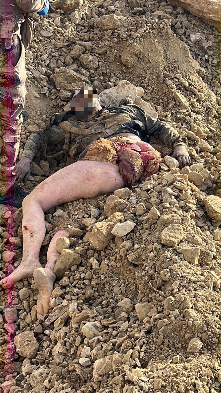 Iraq: 9 ISIS pigs were killed a few days ago by an air strike.