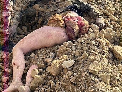 Iraq: 9 ISIS pigs were killed a few days ago by an air strike.
