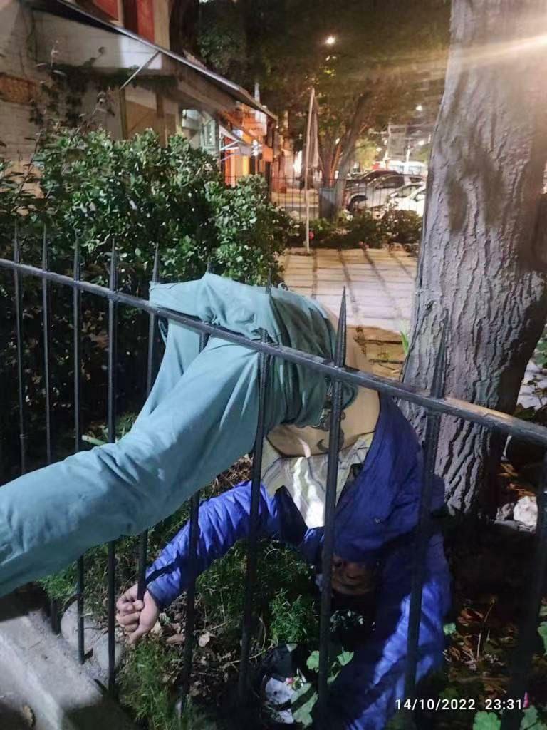 Balls Impaled on railings.