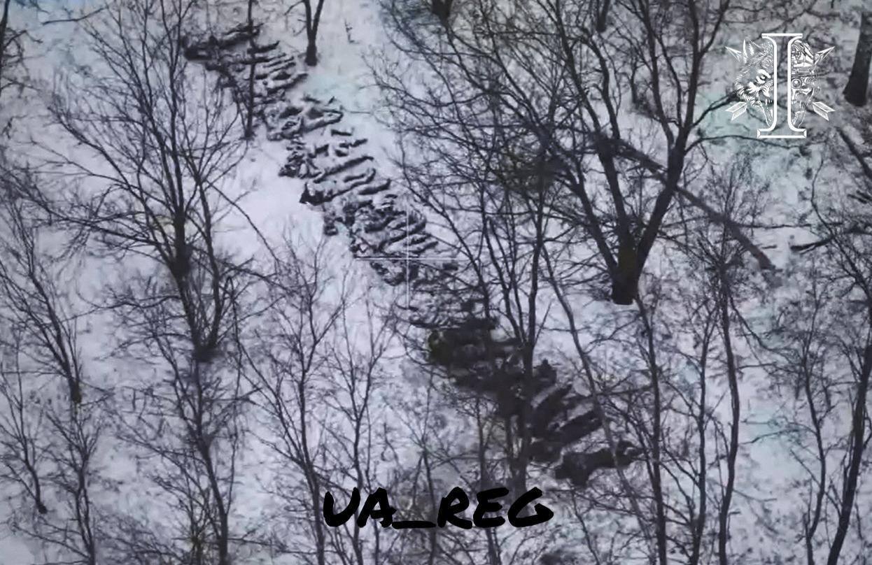 More dead North Koreans